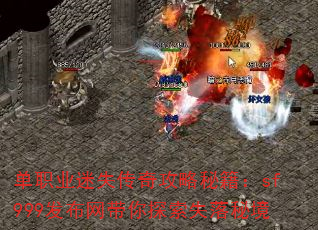 ְҵʧ湥ؼsf999̽ʧؾ