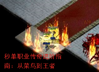뵥ְҵָϣӲ