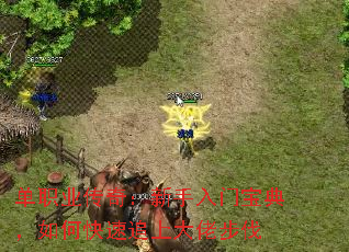 ְҵ棺ű䣬ο׷ϴв