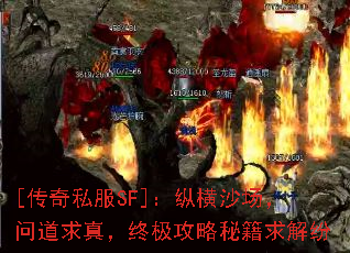 [˽SF]ݺɳʵ棬ռؼ