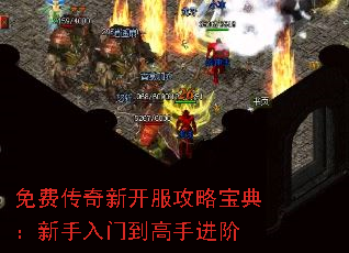 Ѵ¿Ա䣺ŵֽ