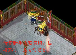 ֹԼݺ귨㵽Ӣ
