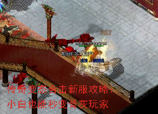 ̬ϻ·ԣСҲǻ