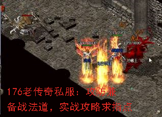 176ϴ˽汸սʵսָ