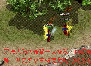 귨½أγɾһʦСɱΪ߳ƵĴӢ
