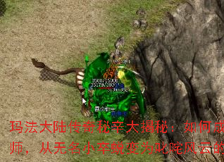 귨½أγɾһʦСɱΪ߳ƵĴӢ