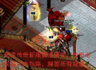䴫·Ϯ˾ǰָ·ɻ