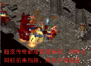 䴫·Ϯ˾ǰָ·ɻ