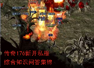 176¿˽ۺ֪ʶʴ𼯽