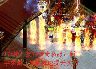 176ƷŴ˽⣬οʵ