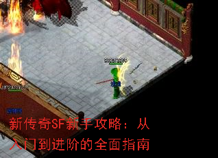 ´SFֹԣŵ׵ȫָ