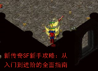 ´SFֹԣŵ׵ȫָ