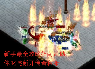 ȫָϣ߳¿˽