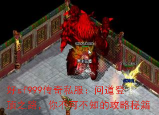 sf999˽ʵǶ֮·㲻ɲ֪Ĺؼ