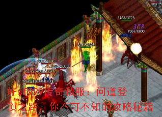 sf999˽ʵǶ֮·㲻ɲ֪Ĺؼ