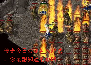 չ귨֪Ĺ