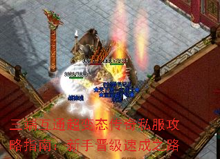 ˻̬ͨ˽ָϣֽٳ֮·