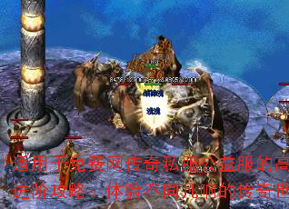 ˽ĸֽ׹ԣ鲻ͬĴ