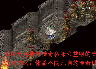 ˽ĸֽ׹ԣ鲻ͬĴ