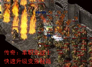 棺ְҵսʿǿؼ