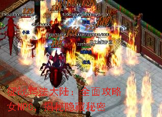 ս귨½ȫ湥ŮNPC