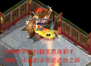 XP13ֹ̬ԣС׵Ľ֮·