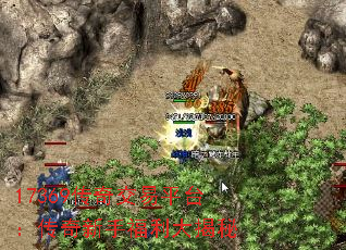 17369潻ƽָ̨