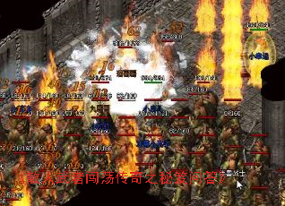ɢߴ֮ʴ