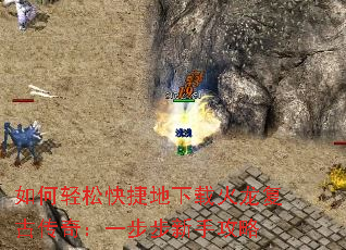 ɿݵػŴ棺һֹ