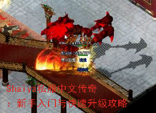Shaiya˽Ĵ棺