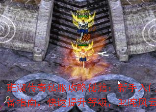 紫˽ؼűرָϣȼ߳