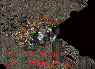 17洫棺С׵񣬹ؼ󹫿