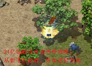 21ڼϻ湥ԣֵ۷壬ռָ