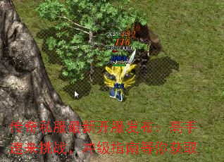 ˽¿ս弶ָϵȡ