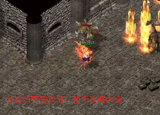 Ѫ̬棺ֹԴȫ