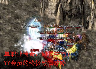 ְҵ棺ţYYԱռ¸