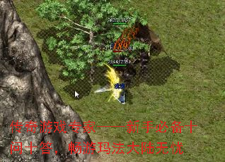 Ϸרҡֱرʮʮ𣬳귨½