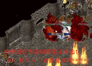 Ϸרҽϻ1.80űرȫ