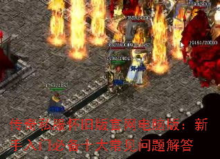˽ɰ԰棺űرʮ󳣼
