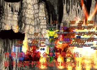 Ϸרҽ֮ãֱʮ񼶹ָ