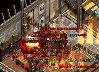 Ϸרҽ֮ãֱʮ񼶹ָ