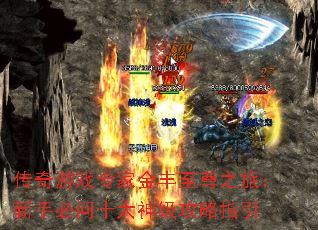 Ϸרҽ֮ãֱʮ񼶹ָ