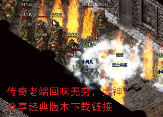 ϶˻ζ汾