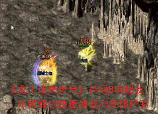 ʧ桷BUGţν޾