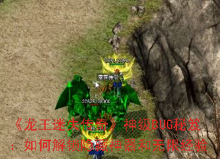 ʧ桷BUGţν޾