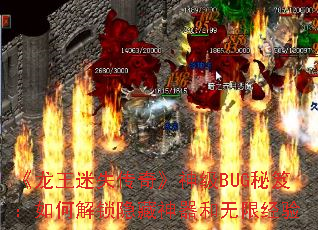 ʧ桷BUGţν޾