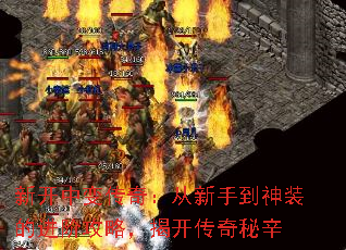 ¿б䴫棺ֵװĽ׹ԣҿ