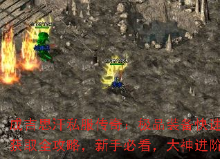 ɼ˼˽棺Ʒװٻȡȫԣֱؿ