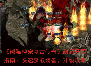 è踴Ŵ桷¿ָϣٻȡװ
