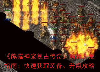 è踴Ŵ桷¿ָϣٻȡװ